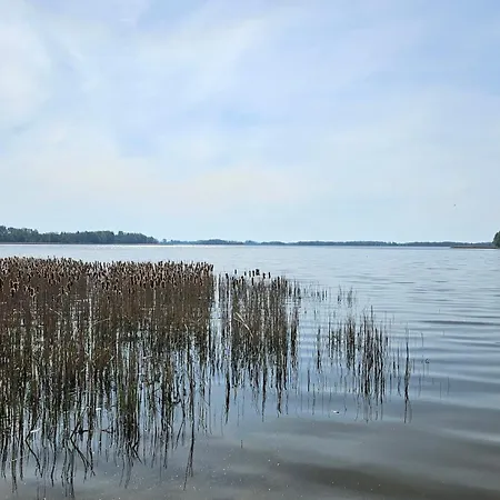 Carpe Diem - Dom Skorupki Prázdninový dům