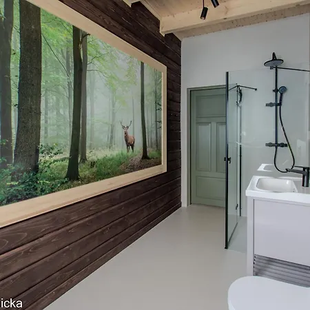 Carpe Diem - Dom Skorupki *