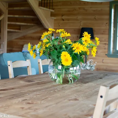 Carpe Diem - Dom Skorupki