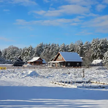 Carpe Diem - Dom Skorupki