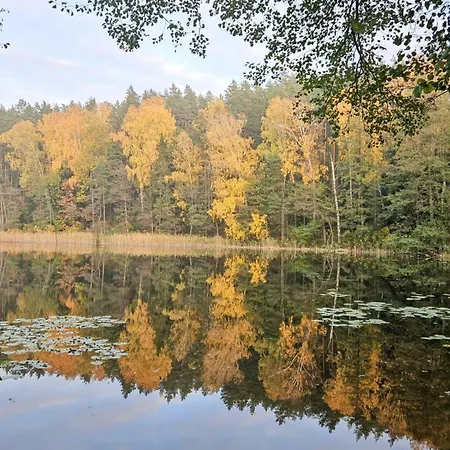 Carpe Diem - Dom Skorupki Prázdninový dům *