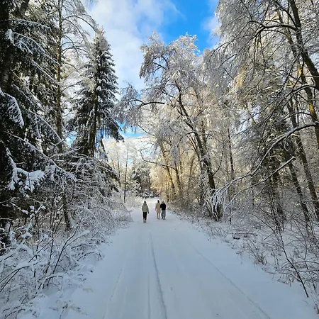 Carpe Diem - Dom Skorupki * Ryn (Warmian-Masurian)